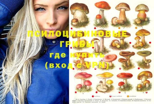 меф Корсаков