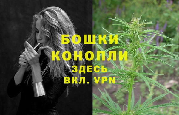 крисы Дмитровск